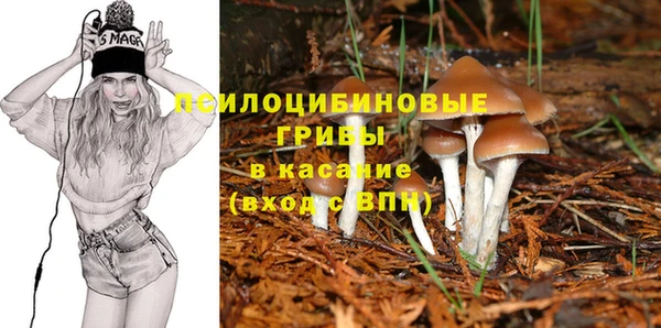 спиды Дмитров