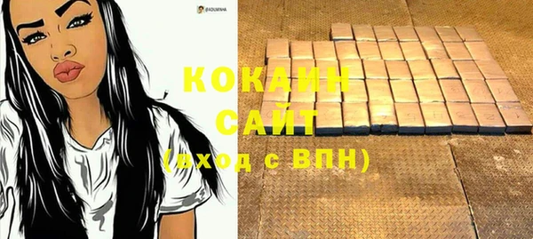 ALPHA PVP Ельня